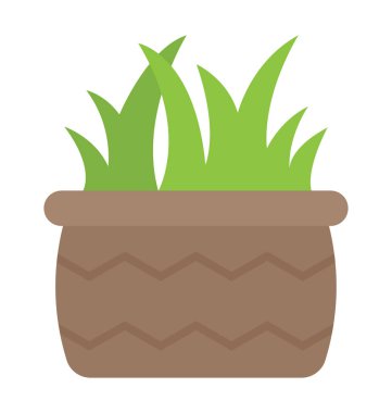 Tencerede bir güzel kapalı bitki aloe vera