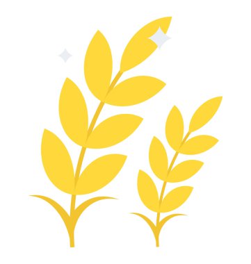 Demet tam buğday, buğday 