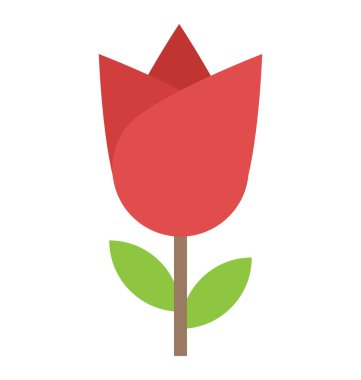 Yeşil kök ile kırmızı gül bud