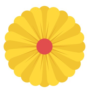 Doğa güzelliği simgeleyen aster çiçek üst bir bakış