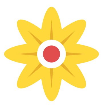 Güzel genel çiçek papatya 