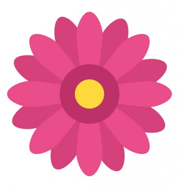 Güzel bir çiçek açan çiçek kadife çiçeği