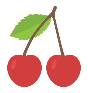 İki organik kiraz, sağlıklı meyve