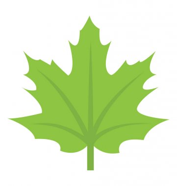 Akçaağaç yaprağı olarak bir ilkbahar yaz sezonu