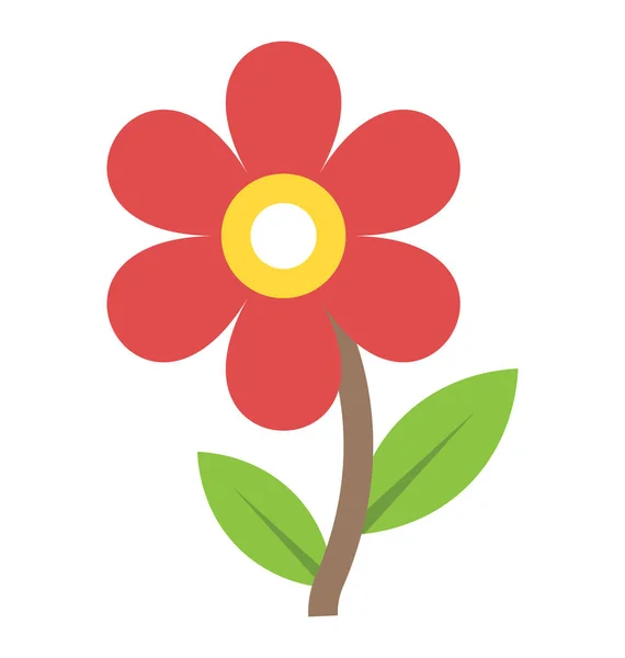 Прекрасный Весенний Цветок Ромашки — стоковый вектор