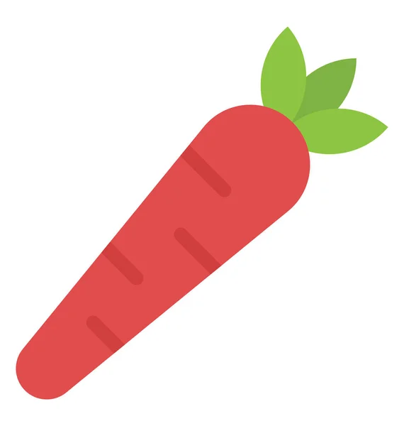 Свежая Морковь Собирается Собрана — стоковый вектор