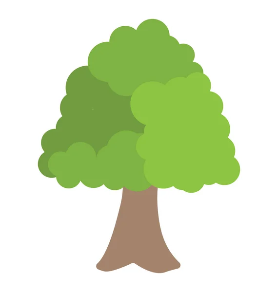 Sunny Basswood Tree Odorless — Stock Vector