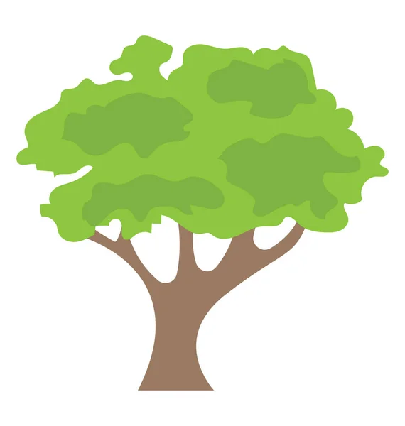 Semi Deciduous Elm Tree Flat Icon — Stock Vector