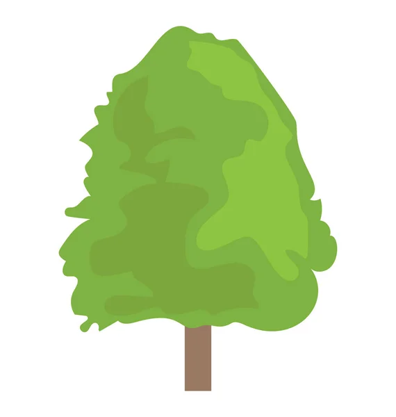 Tumbuh Cepat Pohon Poplar Kayu Kapas - Stok Vektor