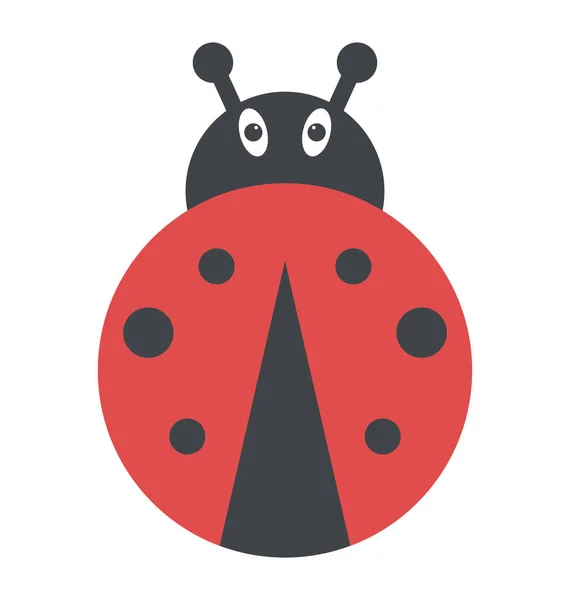 Coccinellidae Ladybird Insecto Verde — Vector de stock