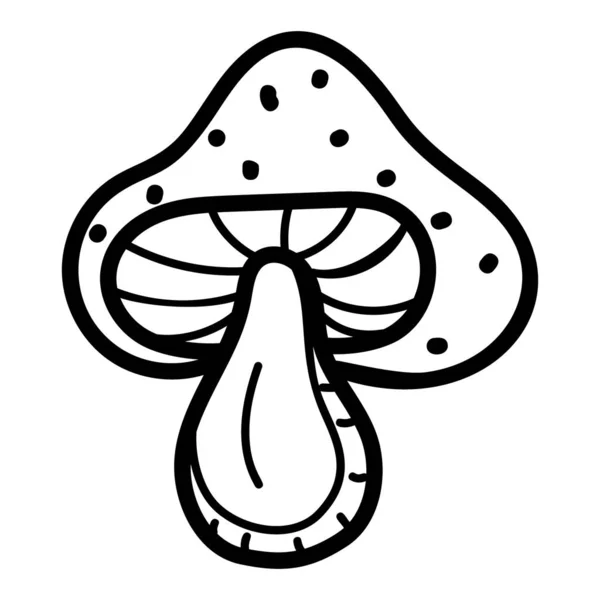 Fleshy Cultivation Used Diet Mushroom Vector — Stock Vector