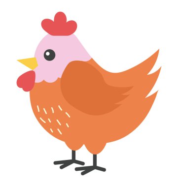 Tavuk, düz tasarım vektörü 
