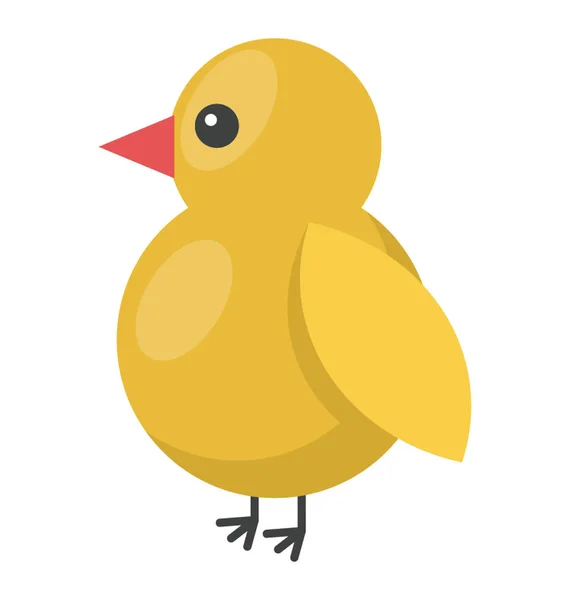 Icon Chick Flat Design — Stock Vector