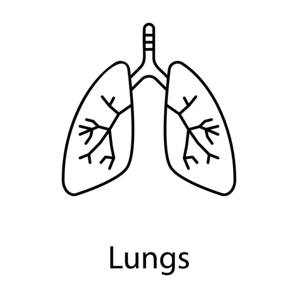 Polmoni Umani Organo Respiratorio Icone Vettore Linea — Vettoriale Stock