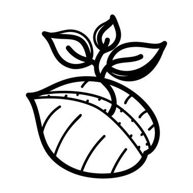 Sağlıklı meyve zengin vitamin, kayısı