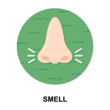 İnsan burnu simgesi, solunum organı düz tasarımı.