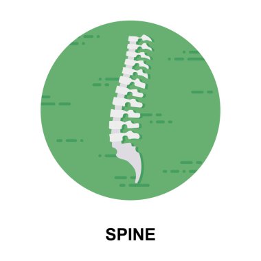 Omurganın düz vektör tasarımı, bir dizi omurga.