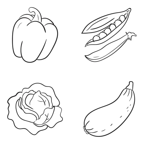 食品ブロガーやスタイリスト または多分食品ウェブサイトを作成している場合は これらの健康的な野菜の手描きベクトルはあなたのために特に役に立つことができます したがって 使用する準備ができて 編集可能なアイコンをダウンロードしてください — ストックベクタ