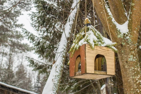 Bird Feeder Winter Forest Hanging Tree — Stock Photo, Image