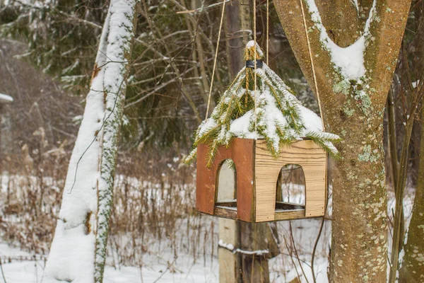 Mangiatoia Uccelli Nella Foresta Invernale Appesa Albero — Foto Stock