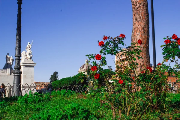 Roma Plaza Venecia Roma Piazza Venezia Rosas Rojas Día Soleado — Foto de Stock