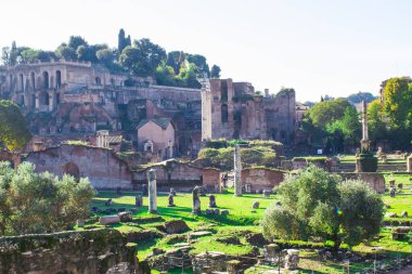 Roma. Roma forumu (Latince. Forum Romanum) - Antik Roma 'nın merkezinde bir forum. Güneşli bir gün.