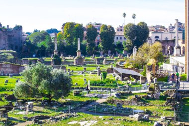 Roma. Roma forumu (Latince. Forum Romanum) - Antik Roma 'nın merkezinde bir forum. Güneşli bir gün.
