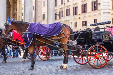 Roma, 10.11.2019, Güneşli havada at arabası tüm tanrıların tapınağının meydanında - Pantheon
