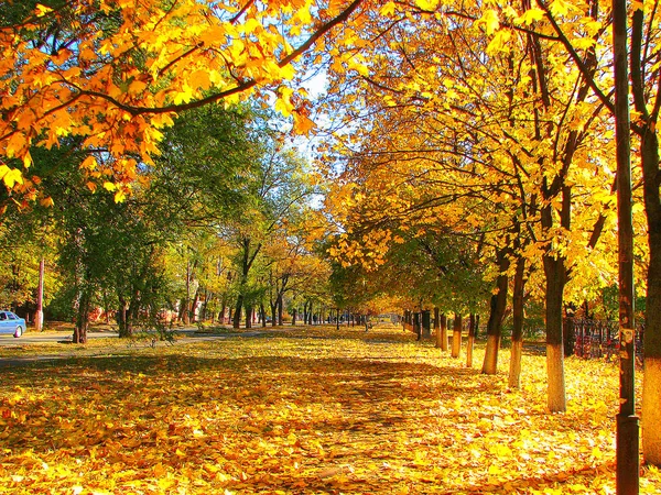 市では 秋の風景 — ストック写真