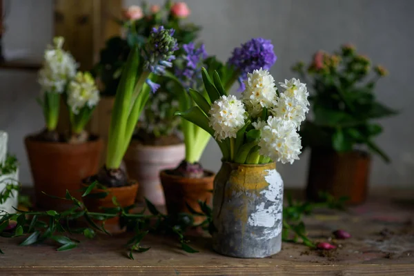 Dans Atelier Jardinier Fleurs Décoratives Pots Accessoires Mariage Style Botanique — Photo