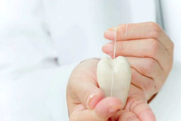 Стоматолог держит коренной зуб зубной нитью — стоковое фото