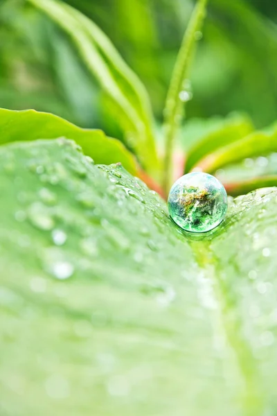 Konzervativní pojetí prostředí — Stock fotografie