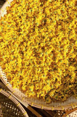 Bitkisel Çay yapımında kullanılan kurutulmuş papatya çiçekler