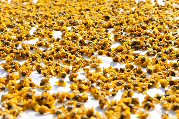 Dried Chrysanthemum Flowers Used Making Herbal Tea — Stock Photo, Image