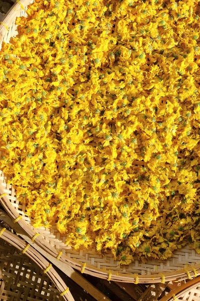 Bitkisel Çay yapımında kullanılan kurutulmuş papatya çiçekler