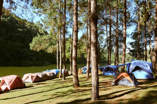 Pang Tong Royal Forest Park Pang Ung Nella Provincia Mae — Foto Stock