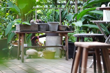 yeşil bahçe arka plan görüntü