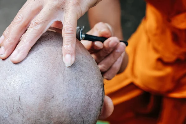 Ceremonia Afeitarse Cabello Ordenación Budista — Foto de Stock