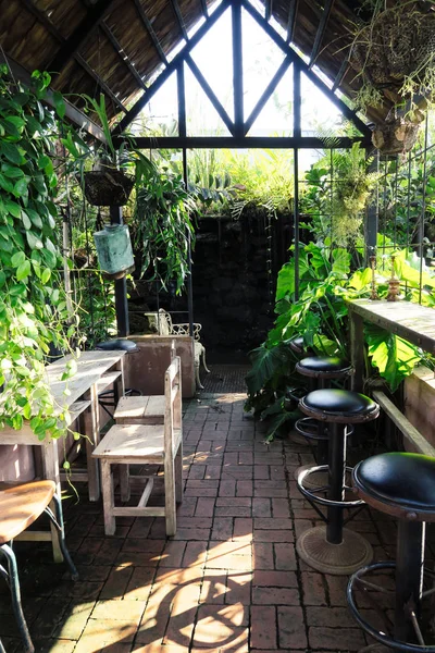 Bar Krzesła Widokiem Ogród — Zdjęcie stockowe