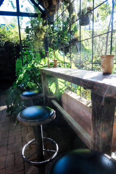 Comptoir Bar Chaises Avec Vue Sur Jardin — Photo