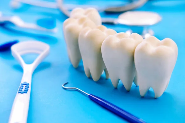 Tandmodell Och Tandläkarutrustning Blå Bakgrund Begreppet Bild Dentala Bakgrund Tandhygien — Stockfoto
