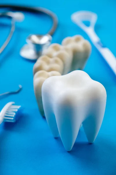 Mavi Arka Planda Diş Modeli Dişçi Ekipmanı Diş Arka Planının — Stok fotoğraf