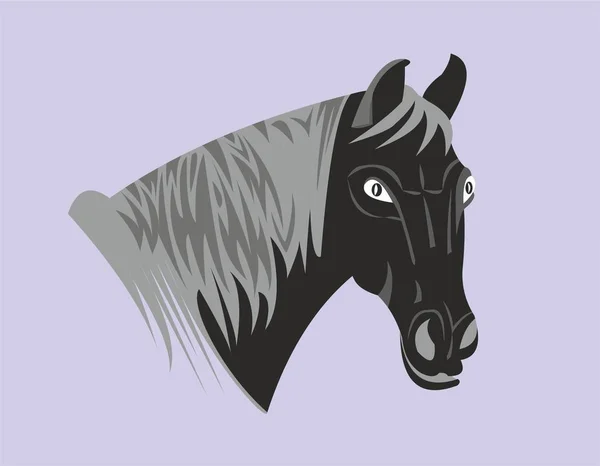 馬の頭と首 — ストック写真