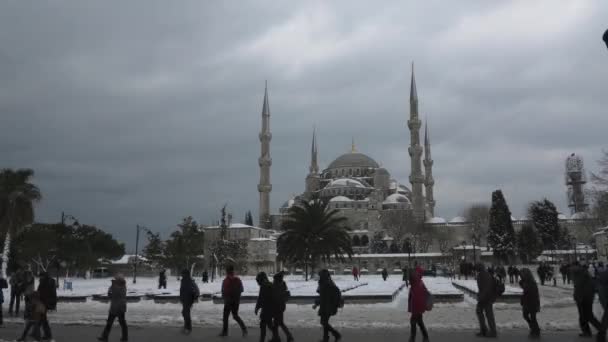 Der Sultanahmet Platz Sultanahmet Meydani Ist Das Alte Historische Viertel — Stockvideo