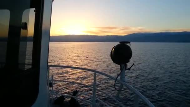 Pêche Anchois Par Bateau Pêche Dans Mer Noire Trabzon — Video