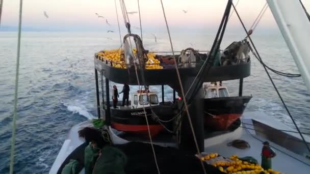 Pesca Anchoa Barco Pesquero Mar Negro Trabzon — Vídeos de Stock