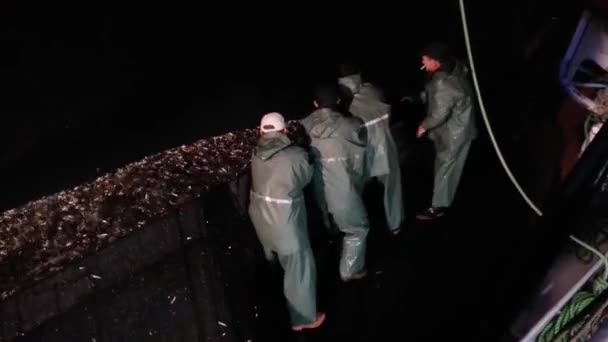 Pesca Anchoa Barco Pesquero Mar Negro Trabzon — Vídeos de Stock