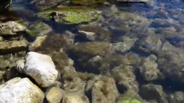 Kocaeli ilinin Kandira ilçesine bağlı kayalık bir plaj, Türkiye.
