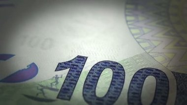 Güney Afrikalı Rands yakın çekim