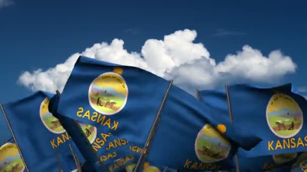 Viftande Kansas State flaggor — Stockvideo